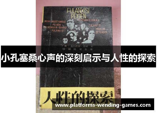 小孔塞桑心声的深刻启示与人性的探索