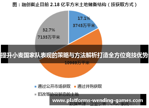 提升小麦国家队表现的策略与方法解析打造全方位竞技优势