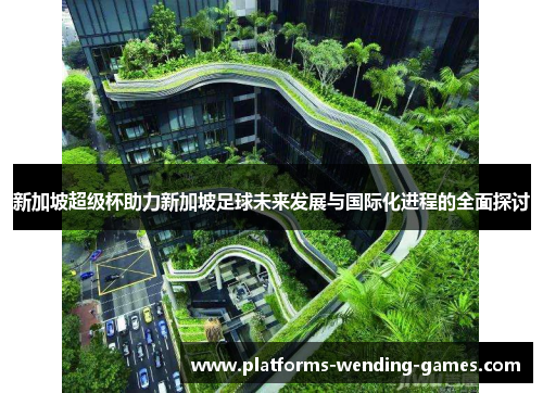 新加坡超级杯助力新加坡足球未来发展与国际化进程的全面探讨